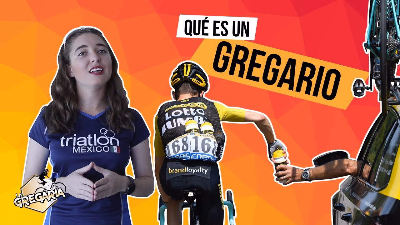 ¿Quién es el mejor gregario del mundo?