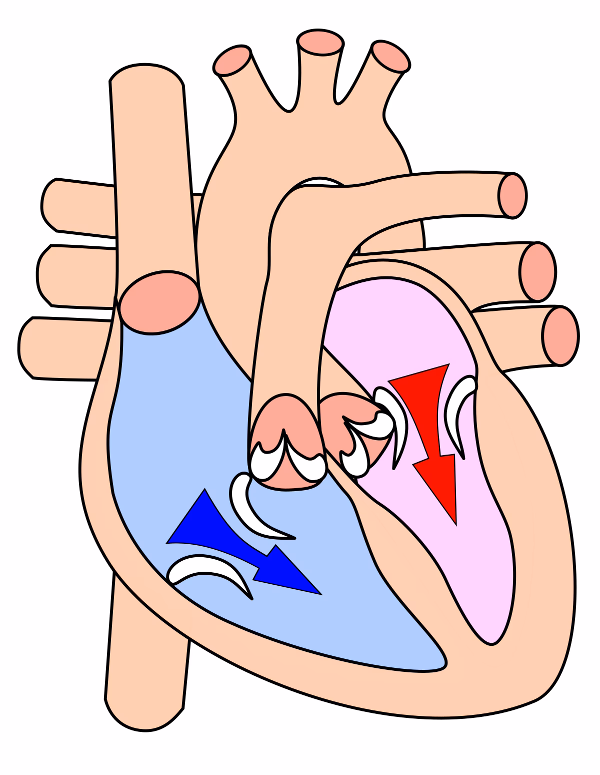 ¿Cómo funciona la precarga?