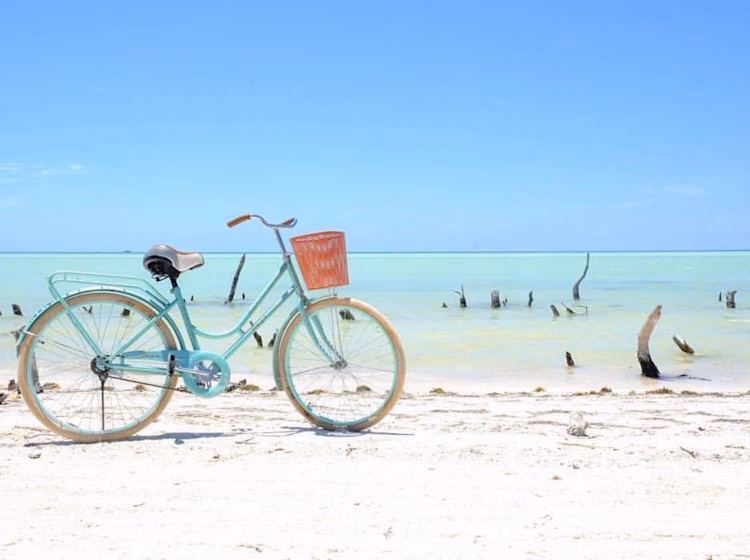 ¿Cuánto cuesta alquilar una bicicleta en Holbox?