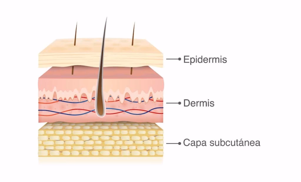¿Cómo quitar una rozadura en la entrepierna?