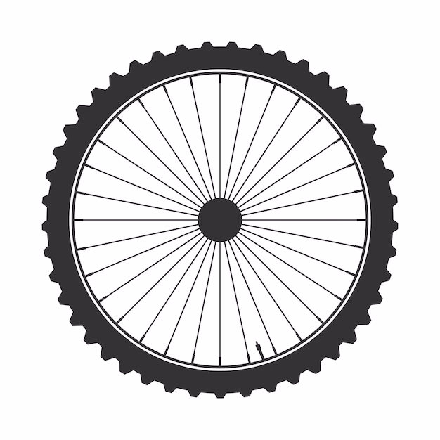 ¿Qué rueda es mejor para bicicleta?