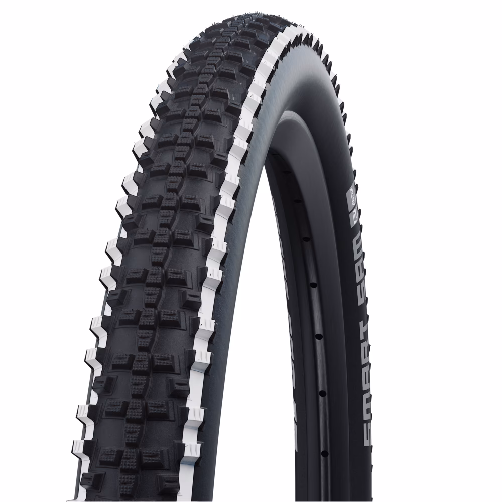 Are Schwalbe Smart Sam tyres tubeless ready?
