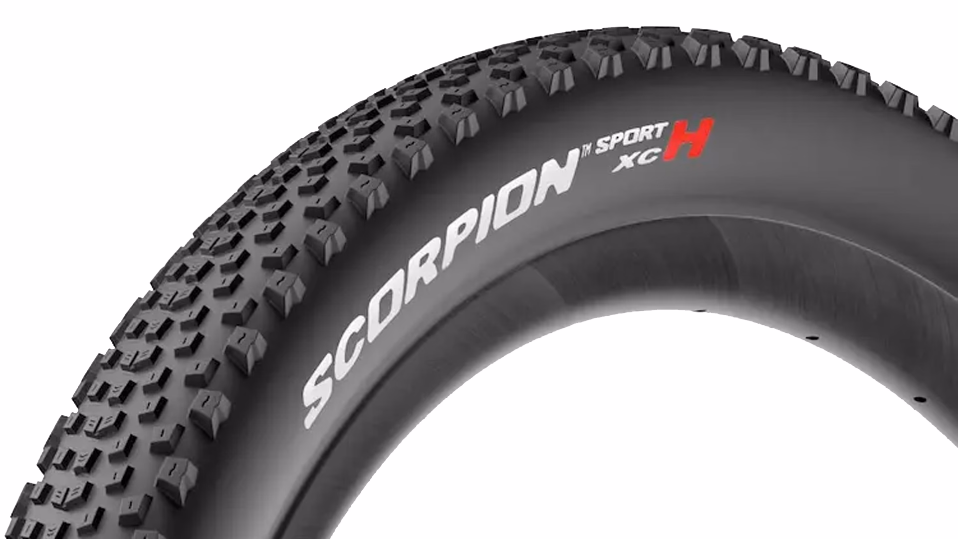 Is there a sports team called the Scorpions?