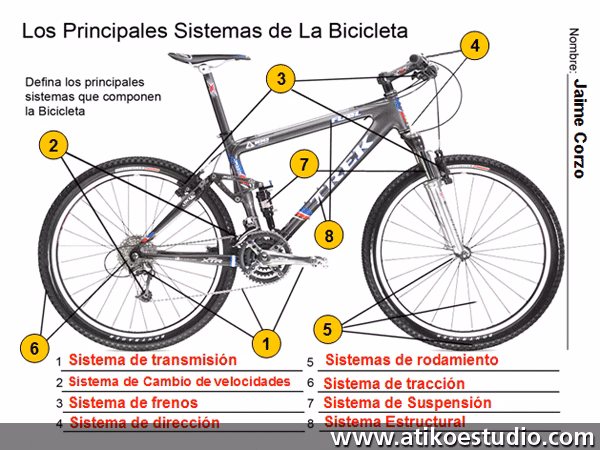 ¿Qué subsistemas tiene la bicicleta?