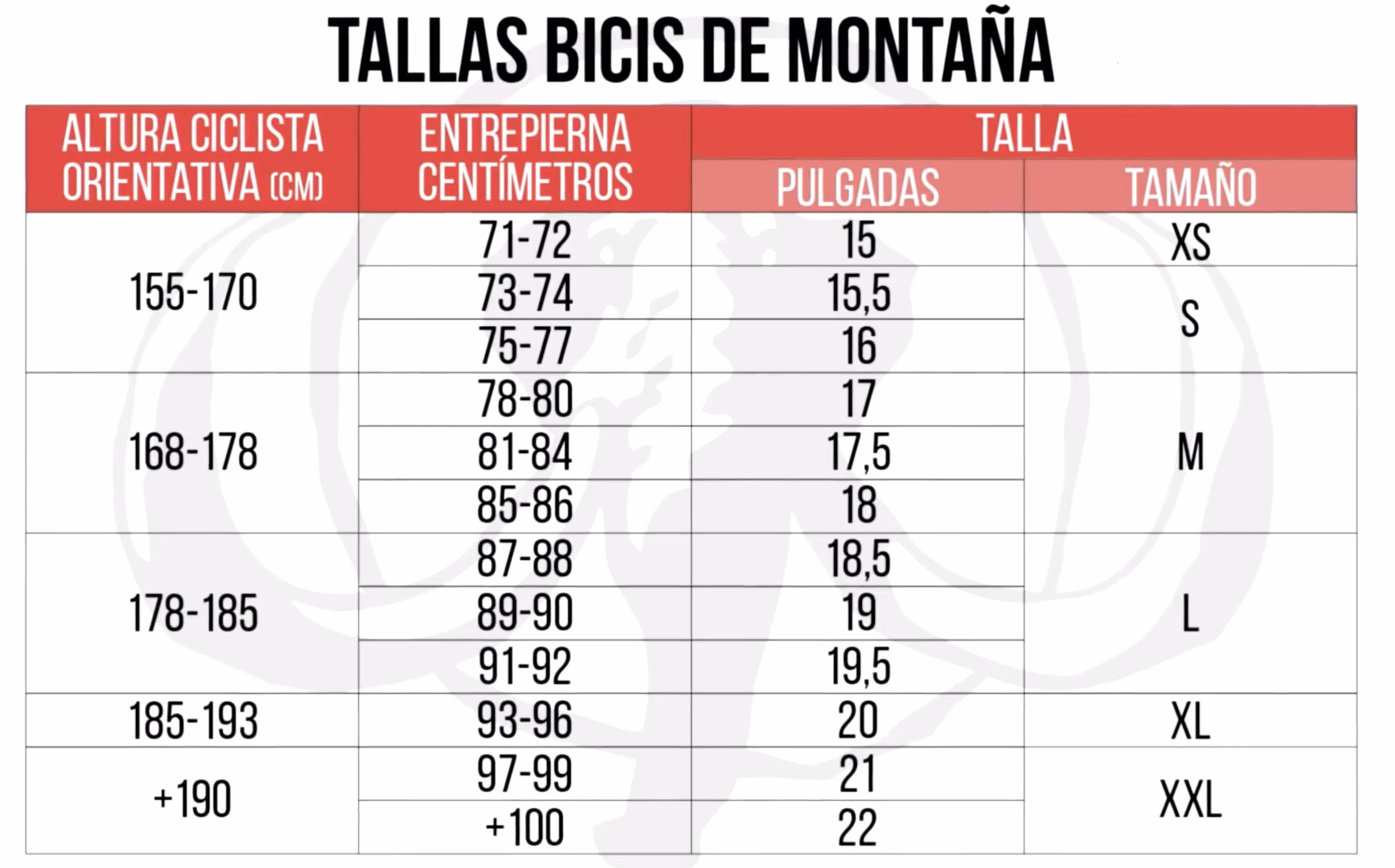 ¿Cómo saber la talla de una bici gravel?