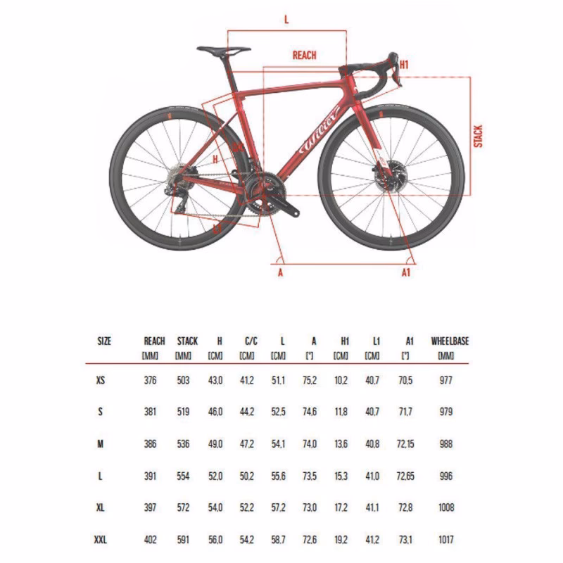 What size person fits a 56 cm bike?