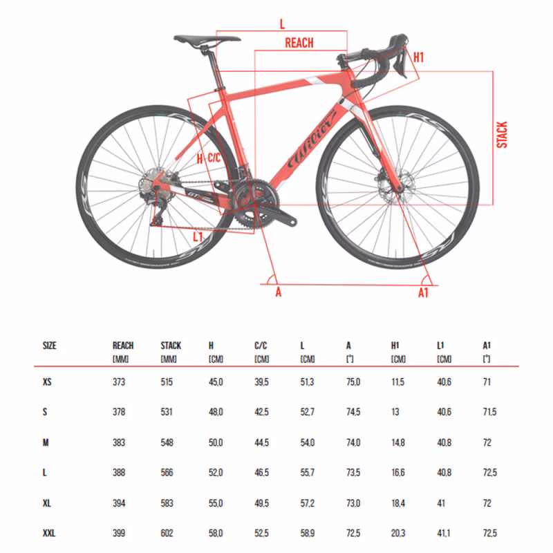 What size person fits a 56 cm bike?