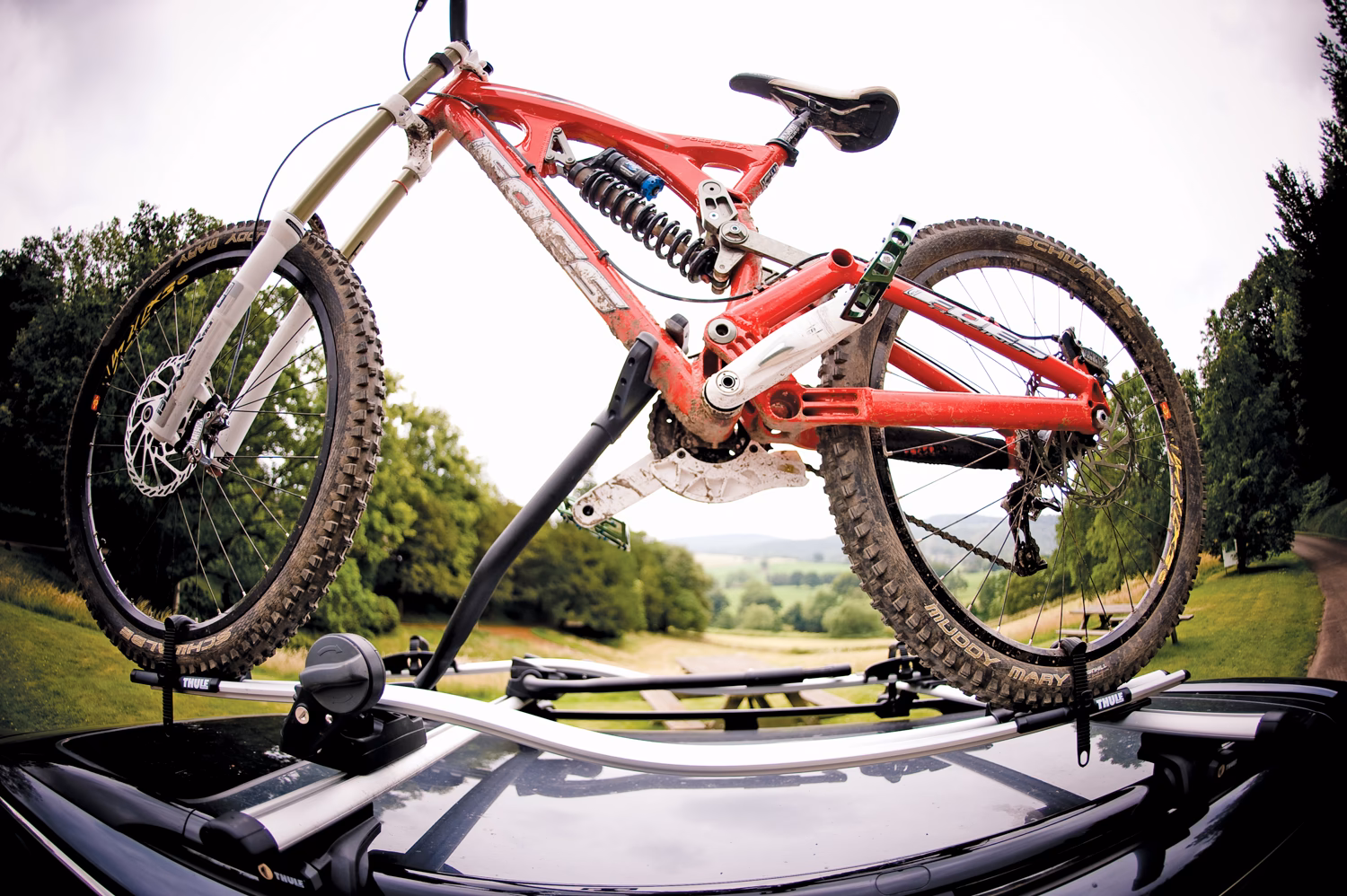 Does Thule 591 fit square bars?