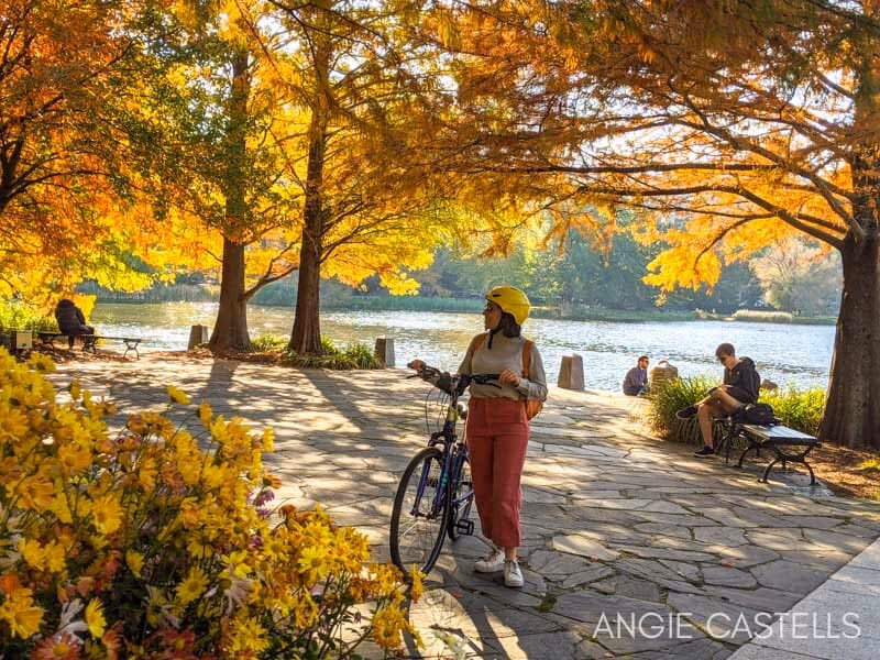How much is the Central Park bike tour?