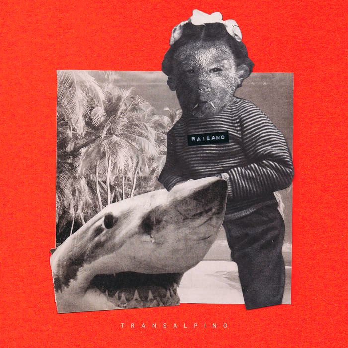 What does transalpino mean?